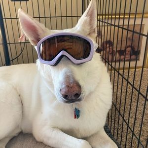 Meet your Posher, Leah